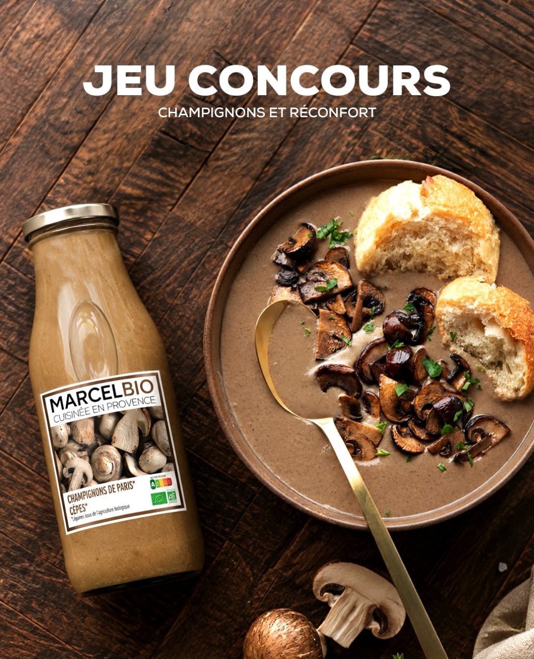 un lot de 2 soupes aux champignons