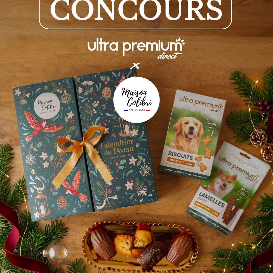 1 calendrier de l’Avent Maison Colibri