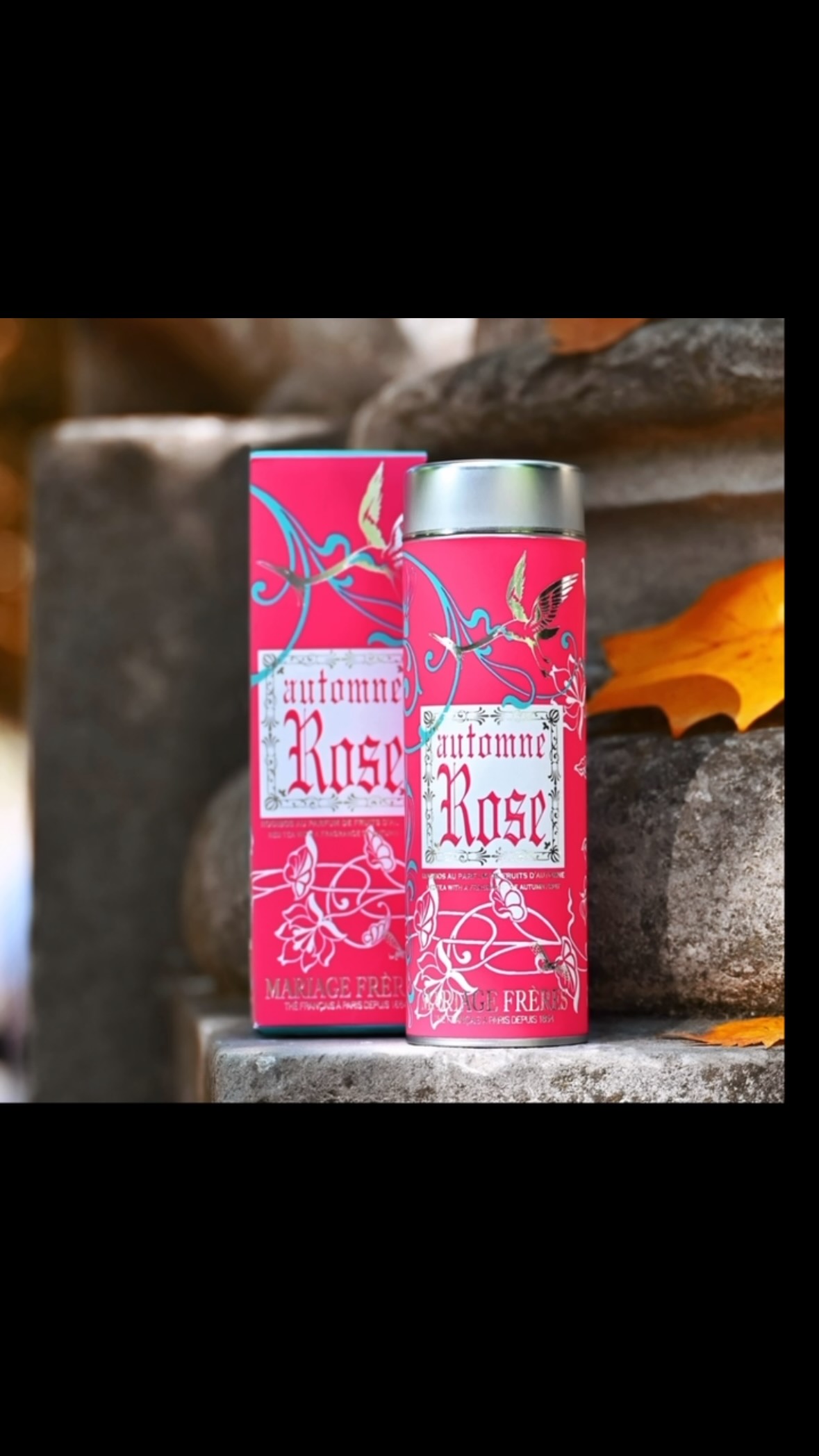 Automne Rose (rooibos rouge)
